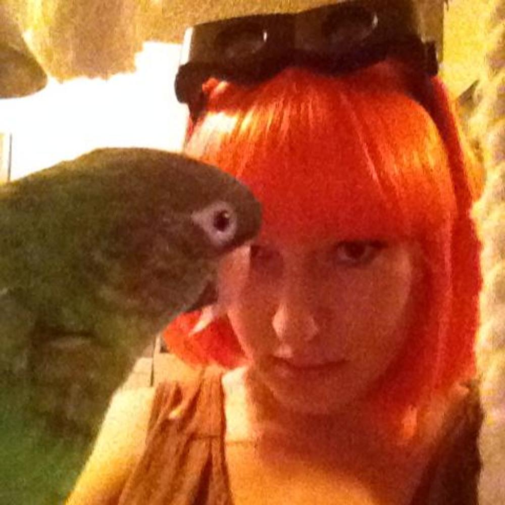 Meet your Posher, Stephi